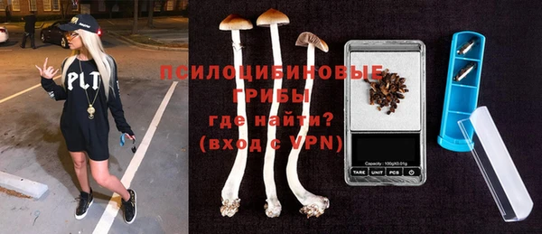 дживик Балахна