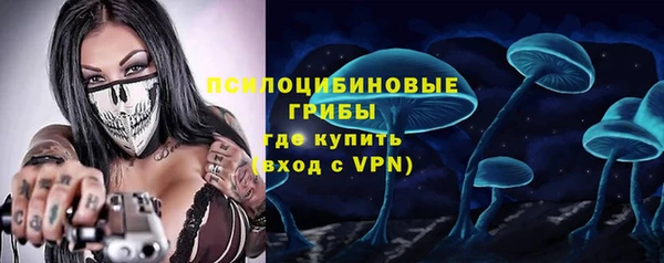 спайс Баксан
