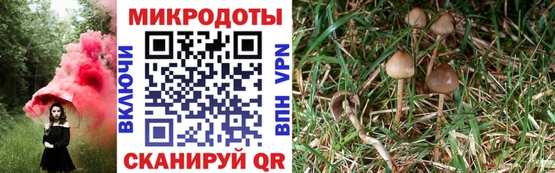Галлюциногенные грибы мухоморы  Купить где  Шумерля 